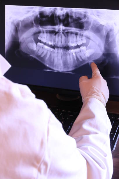 Best Emergency X-Rays and Diagnostics in Olive Branch, MS